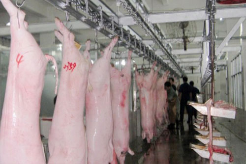 Nước thải cơ sở giết mổ gia cầm